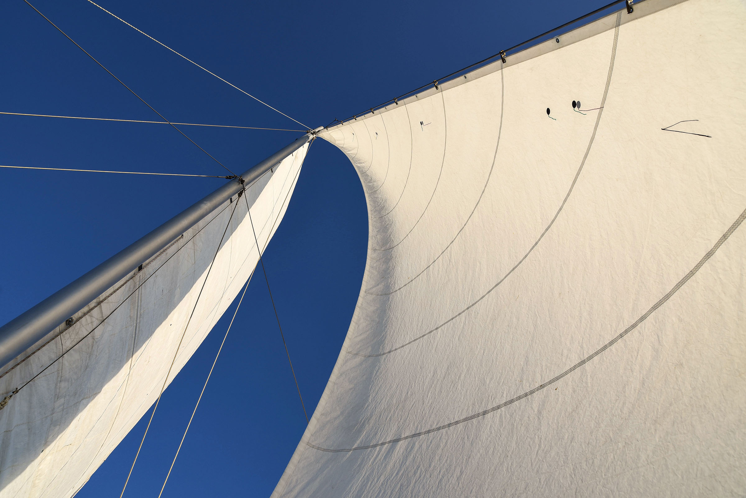 DSC_2682 sails gallery.jpg