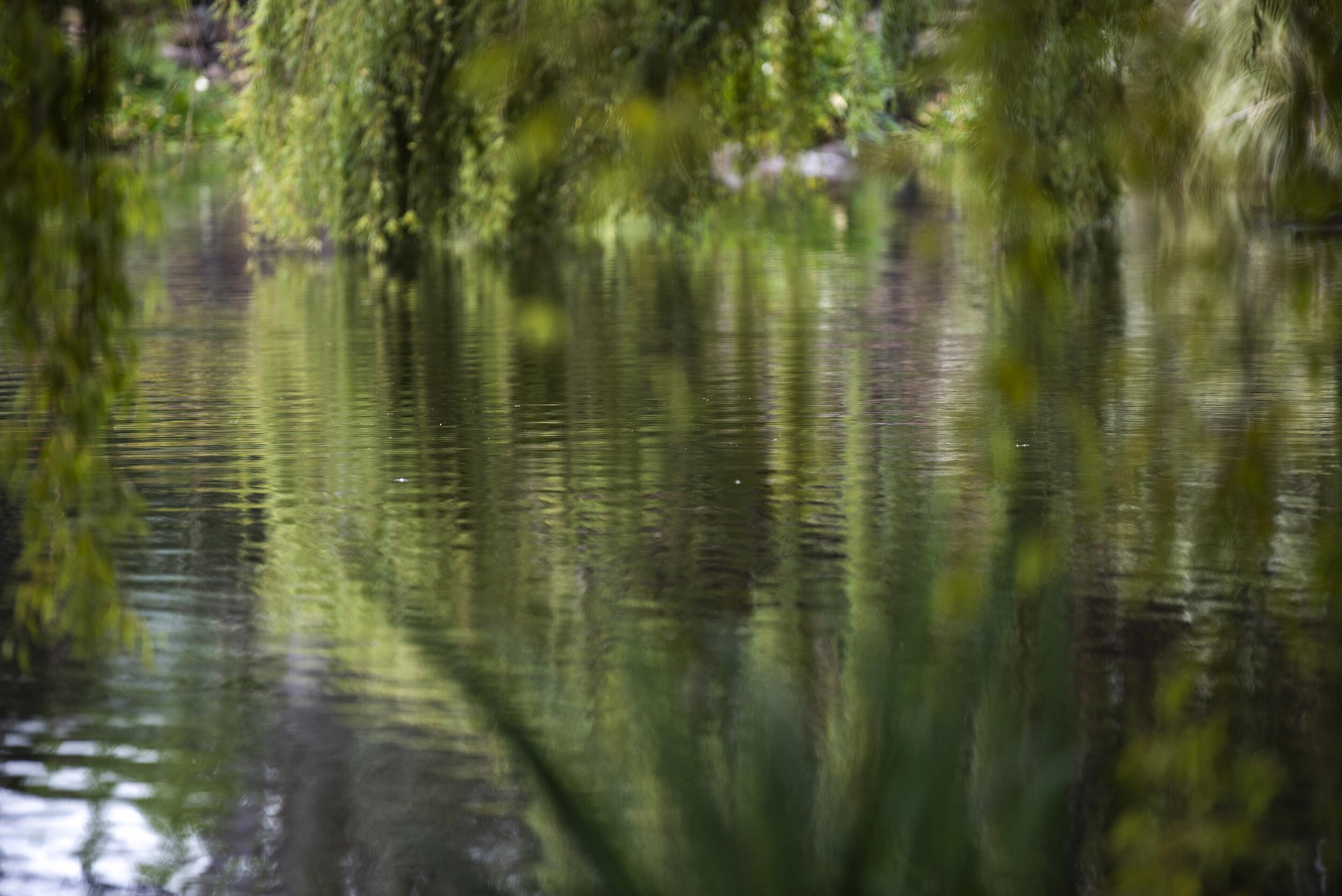 DSC_5511 dreamy rippon lea gallery.jpg