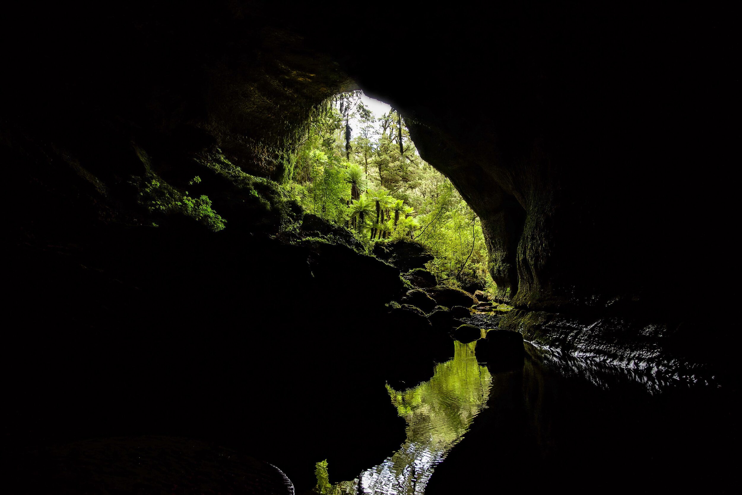 DSC_5267 cave glow green new zealand gallery.jpg