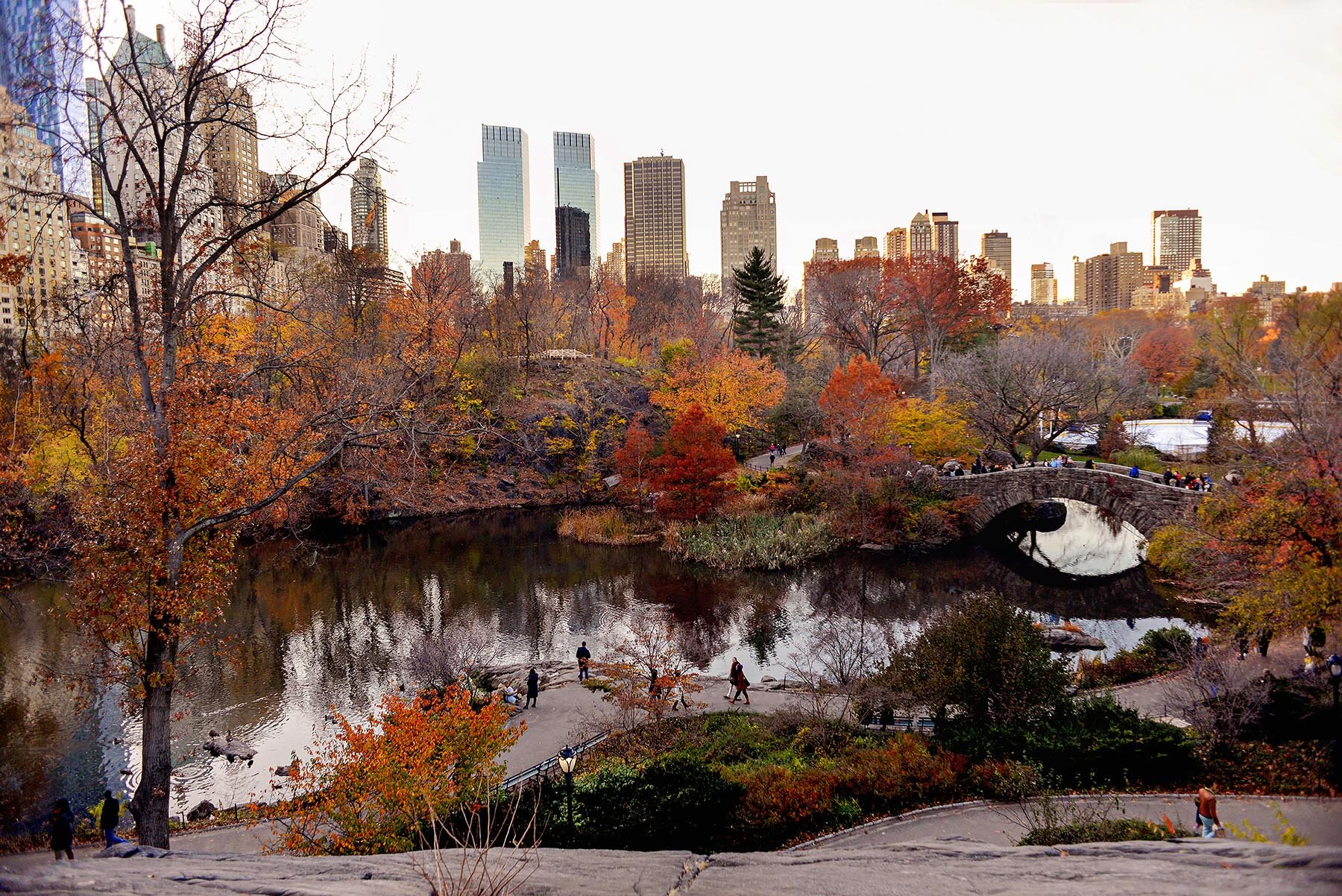 DSC_4617 central park retouched website.jpg