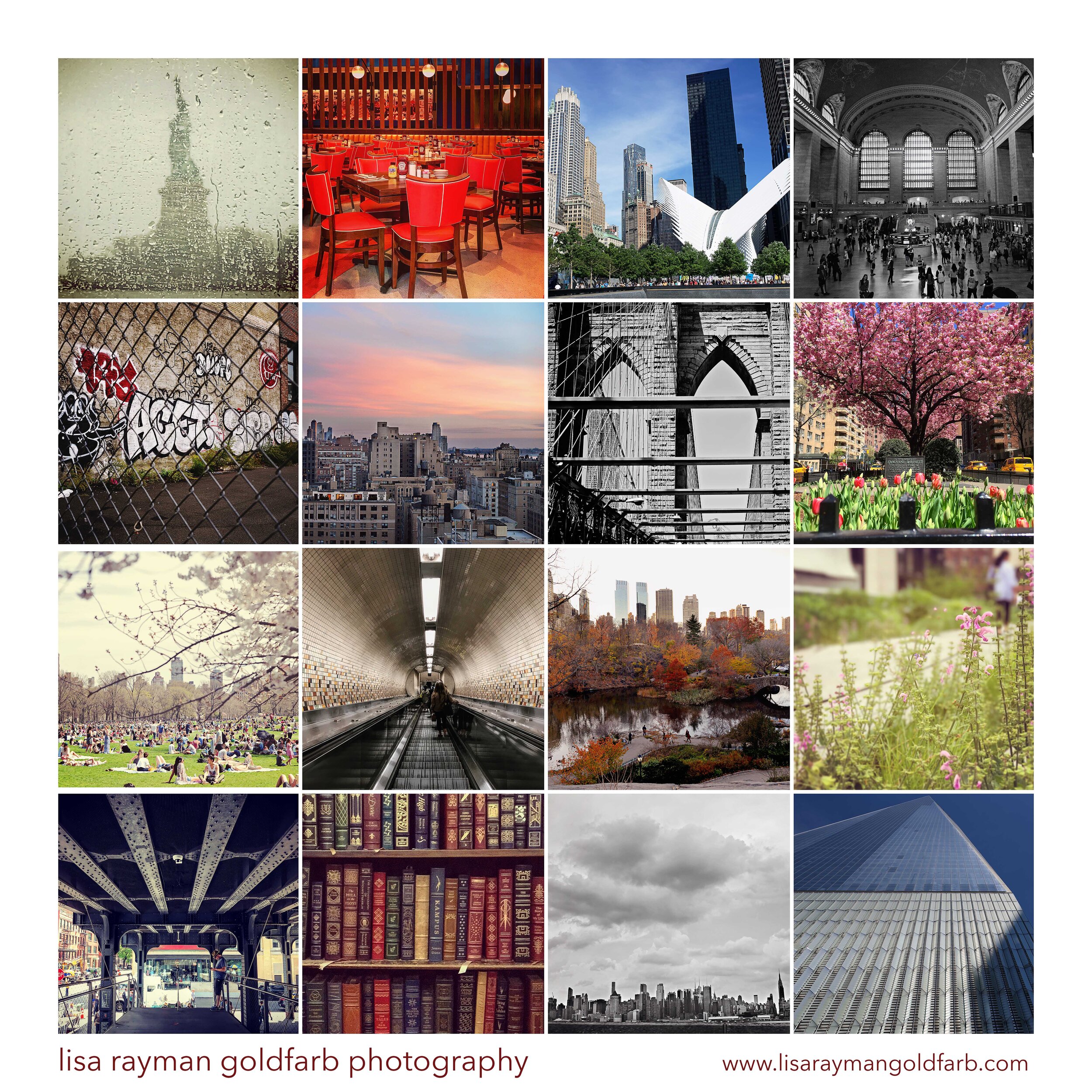 new york montage small wm.jpg