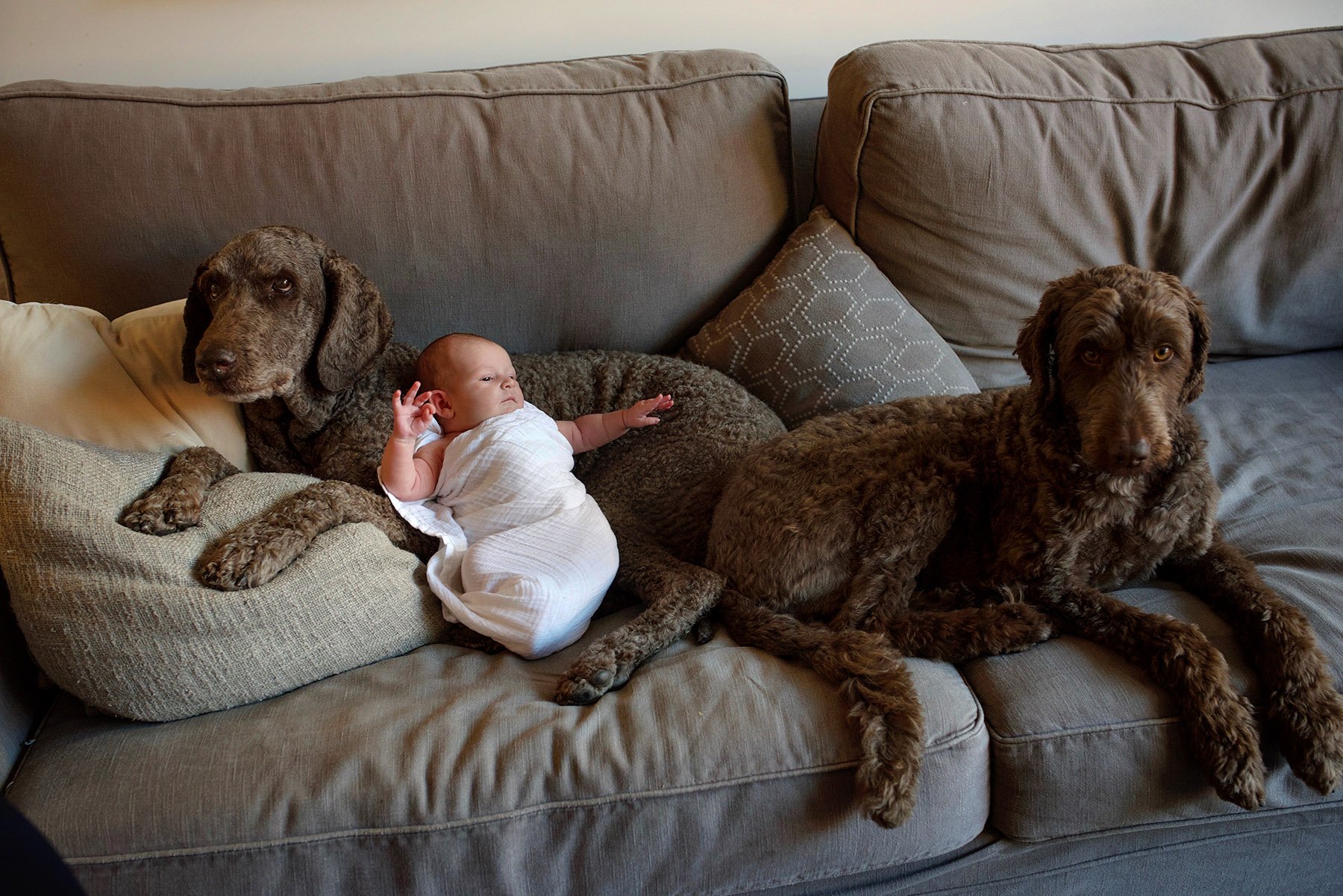 DSC_9290 with pups web.jpg