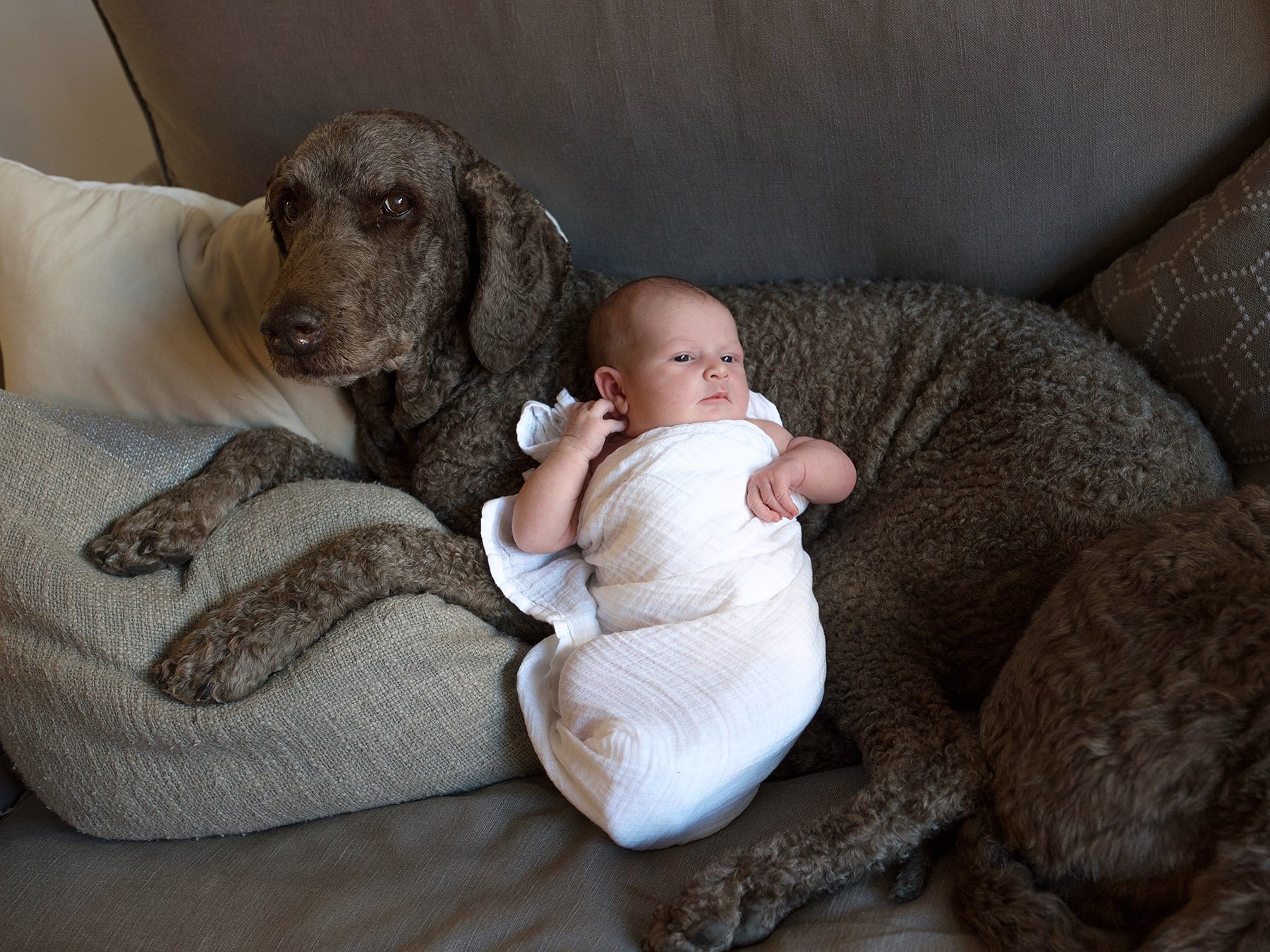 DSC_9310 with pup FINAL web.jpg