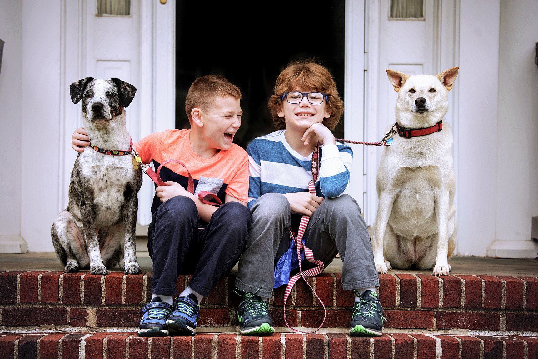 DSC_1577 boys laugh with dogs color FINAL web.jpg