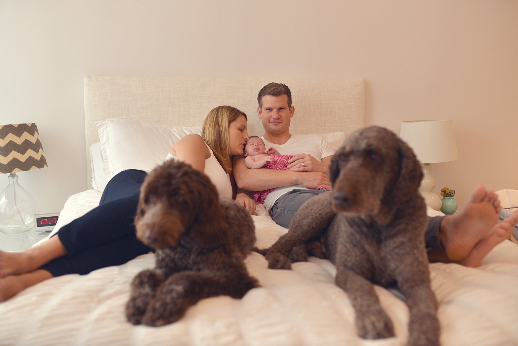 DSC_3664 family on bed with dogs web.jpg