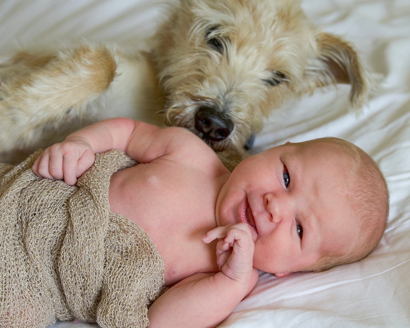 DSC_6366 baby smiles and pup FINAL 8x10 retouched cropped web.jpg