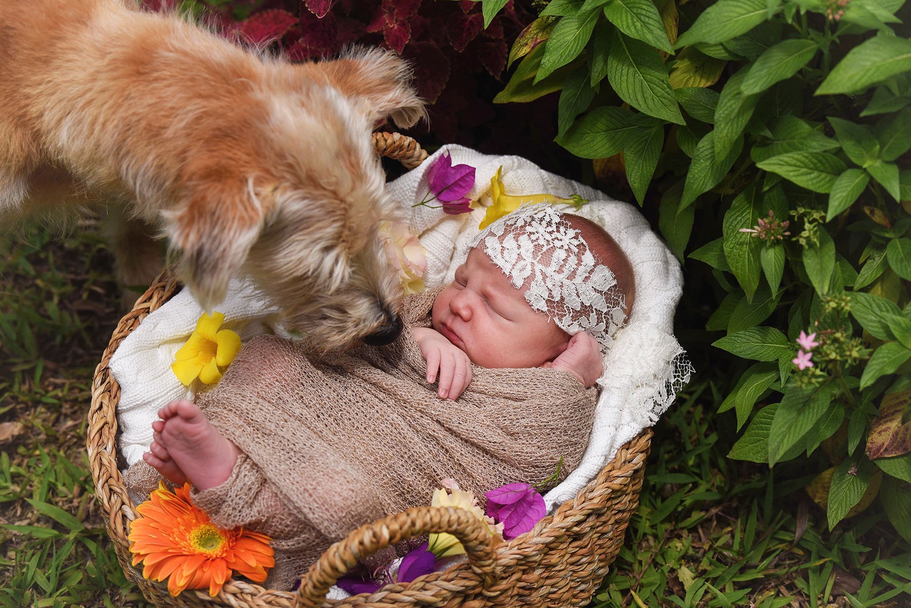 DSC_6725 baby and pup FINAL web.jpg