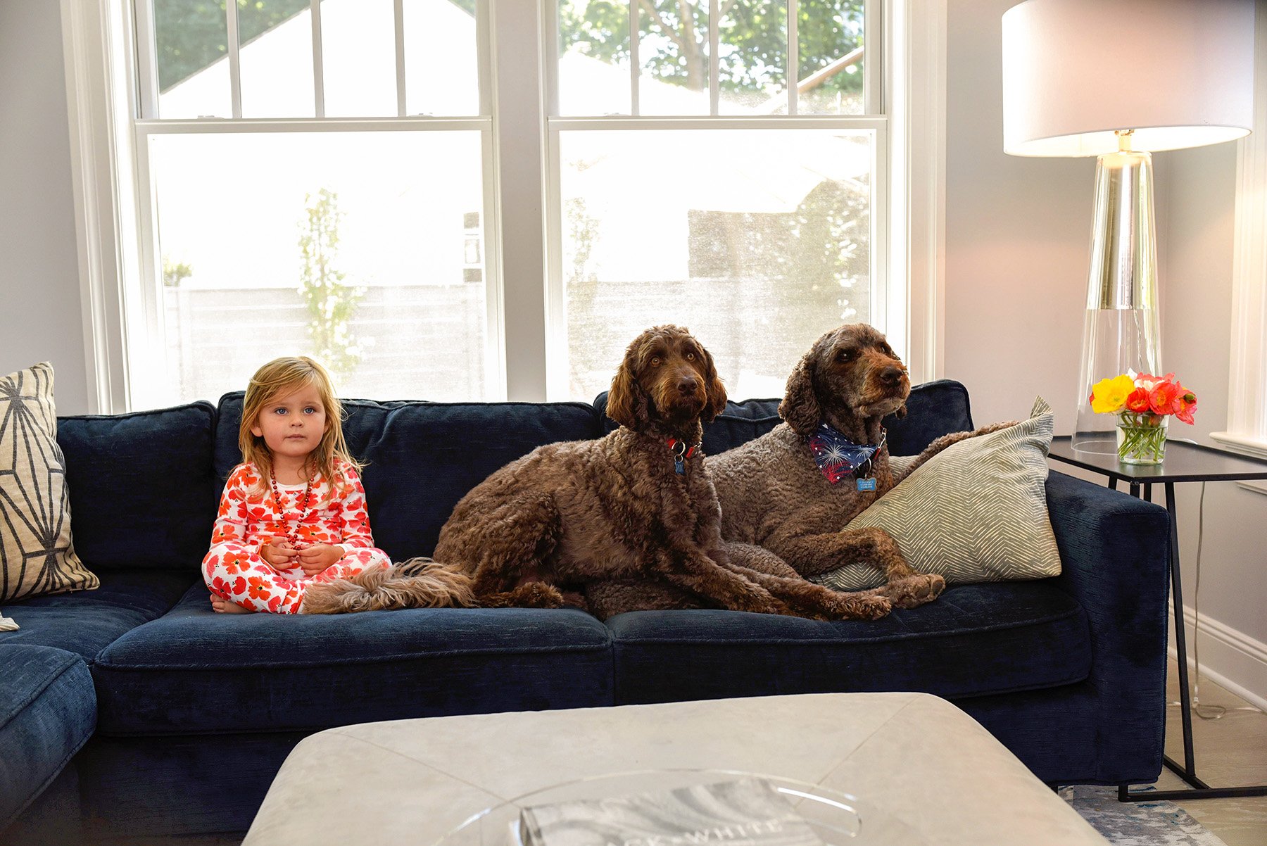 DSC_8585 quinn with dogs FINAL web.jpg