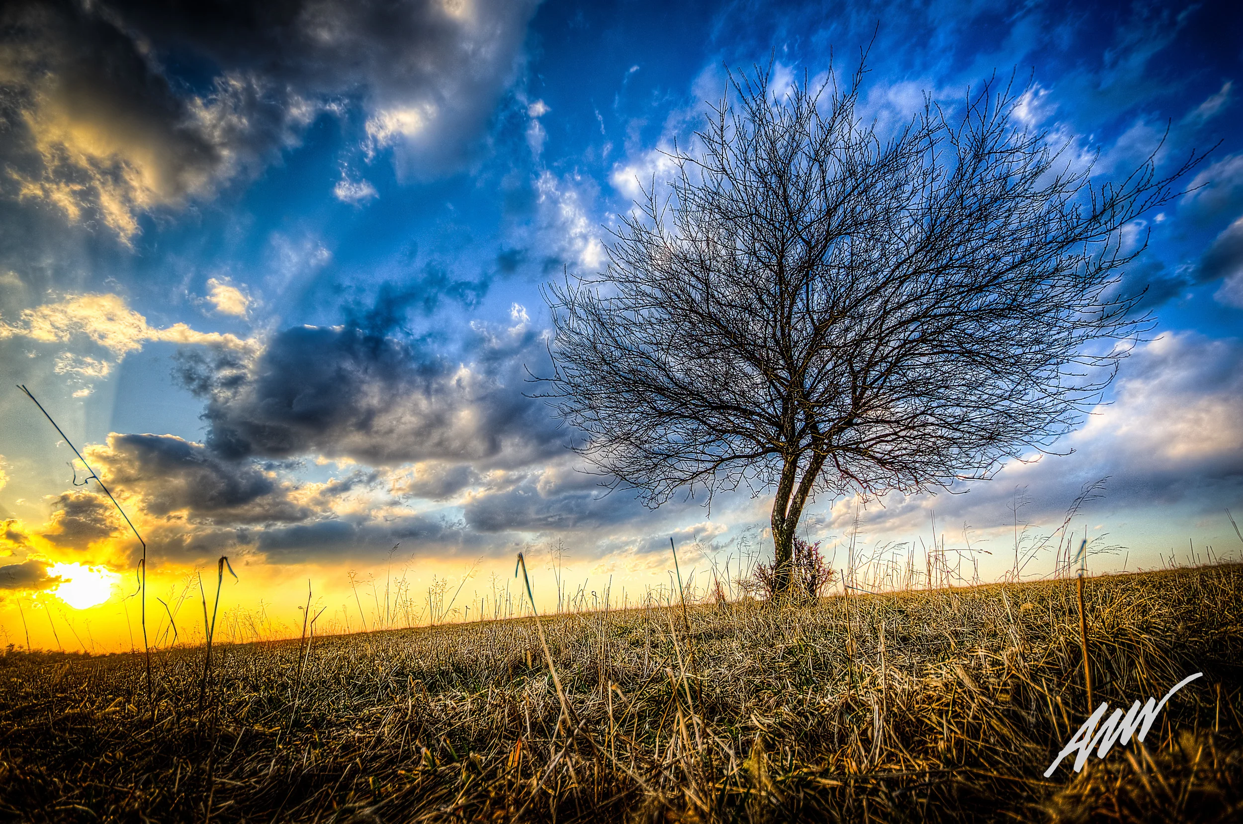 AMN_2153_4_5_tonemapped.jpg