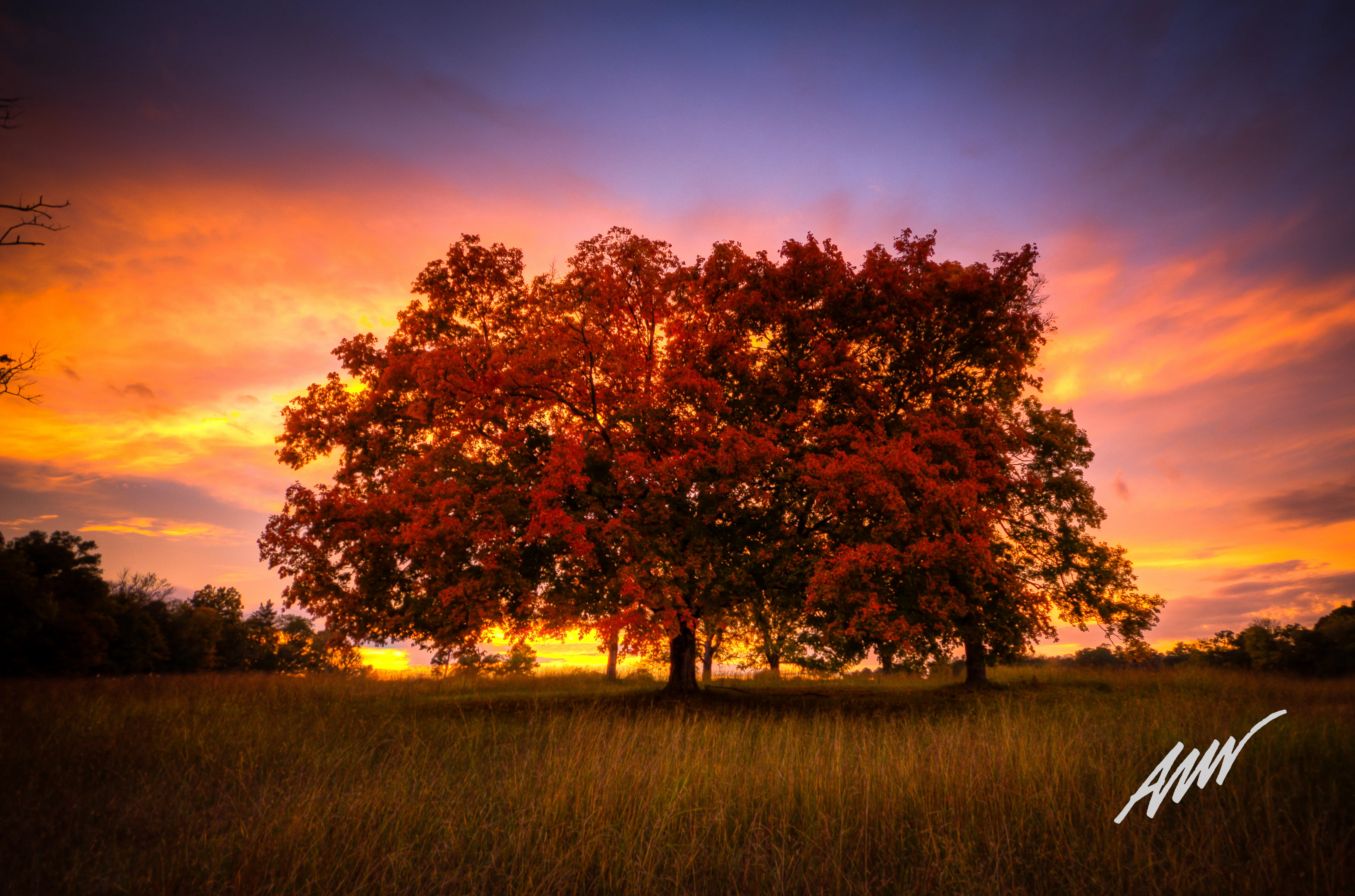 Autumn - 16x20 Acrylic