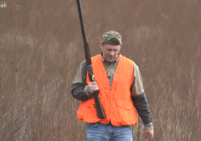 gifs_231.gif