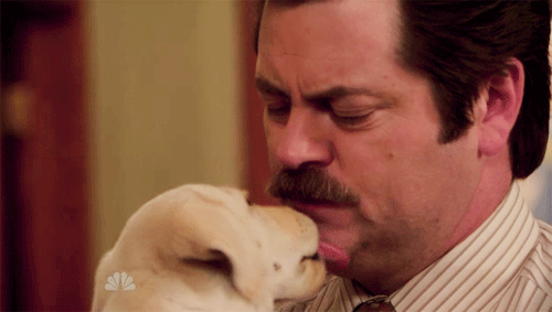 swanson1.gif