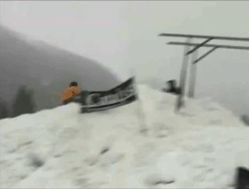 l9oyjgn.gif