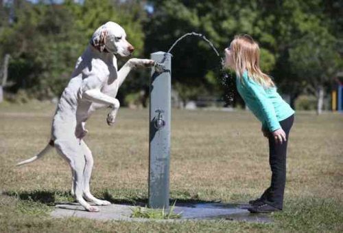 great-photos-thechive-19.jpg