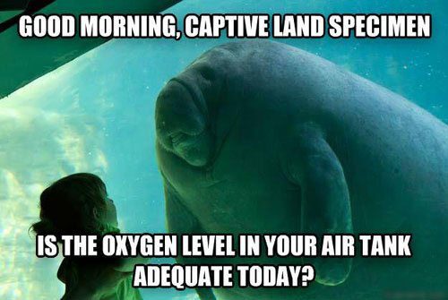 great-photos-thechive-46.jpg