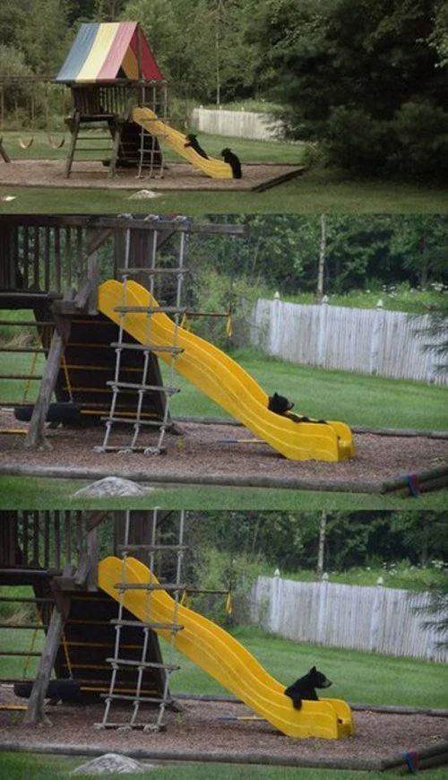 fun-photos-gallery-44.jpg