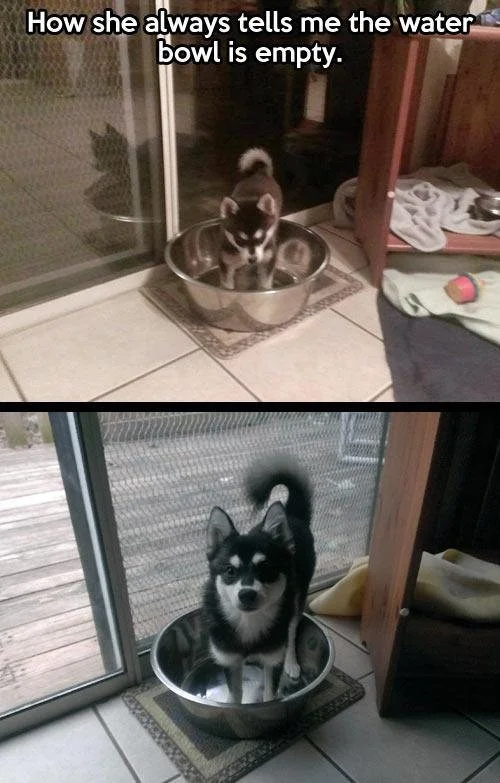 daily-morning-awesomeness-161.jpg