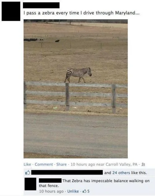 facebook-29.jpg
