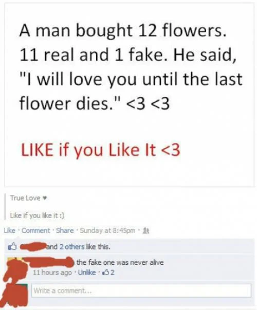 facebook-0.jpg