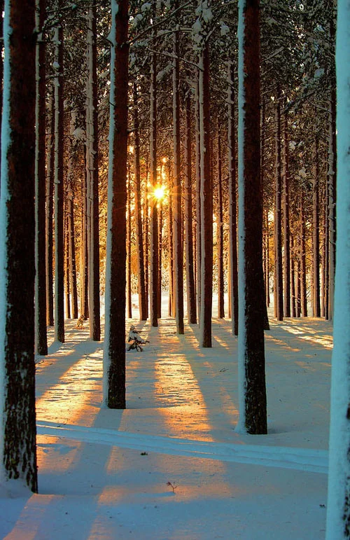 282-afternoon-light-ac6ee1bc-sz584x900-animate.jpg