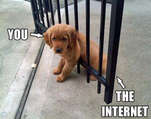 Winning the Internet