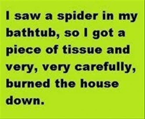 best-of-tapiture-10.jpg
