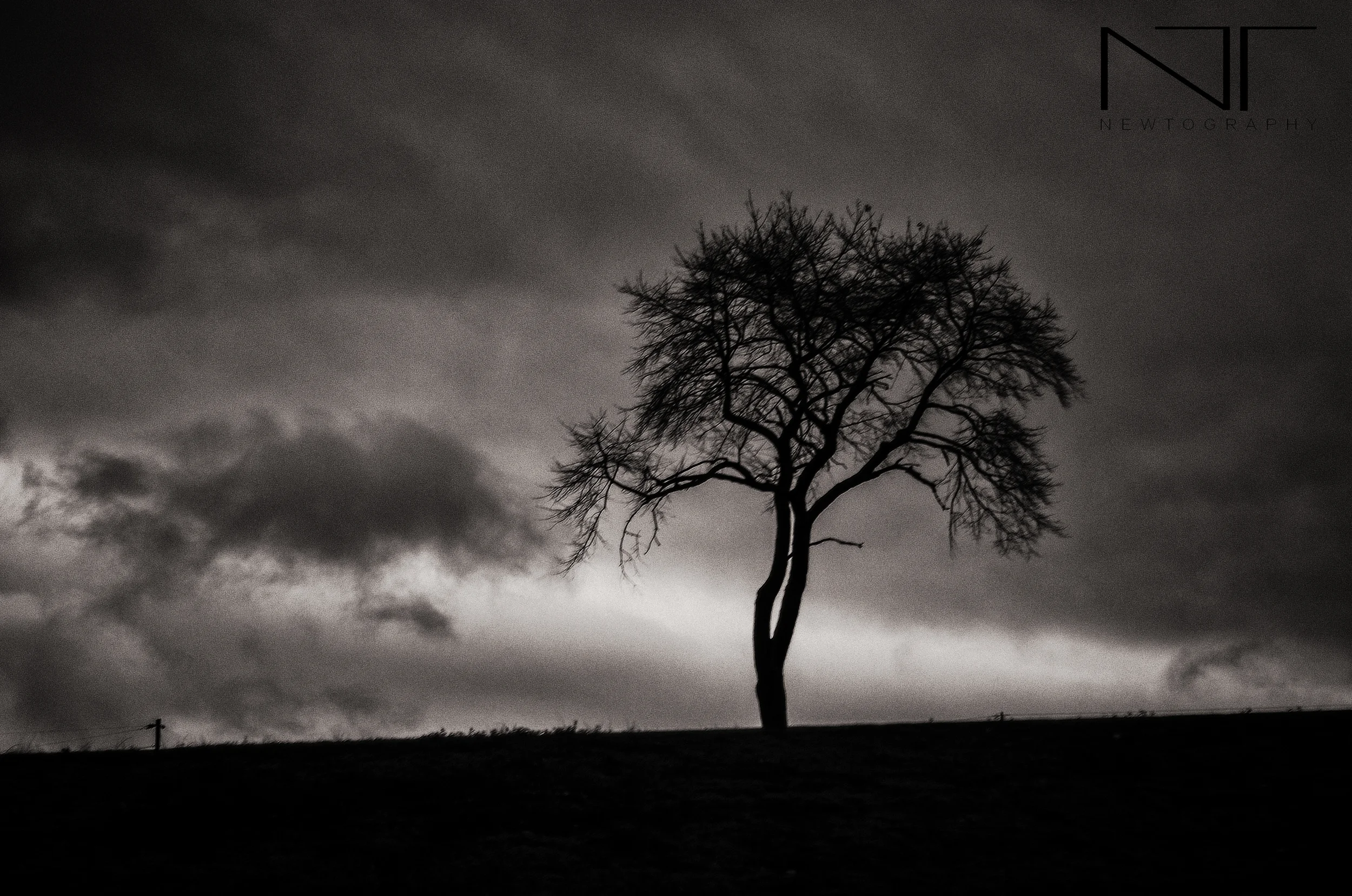 AMN_9384-Edit-Edit-Edit.jpg