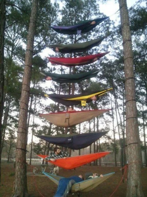 hilarious-photos-thechive-funny-13.jpg