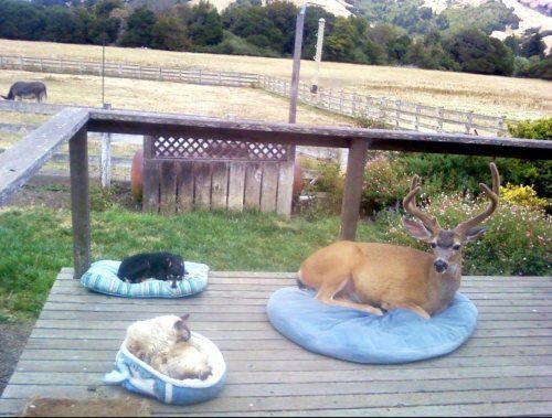 best-photos-of-week-38.jpg