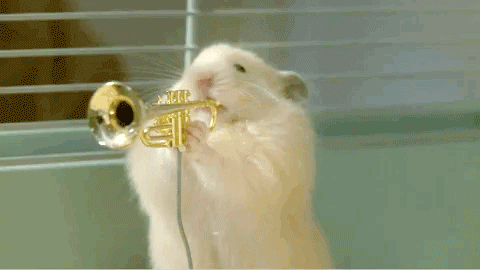 zwuywex.gif