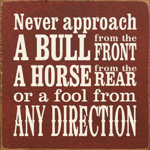 237-good-advice-91.jpg