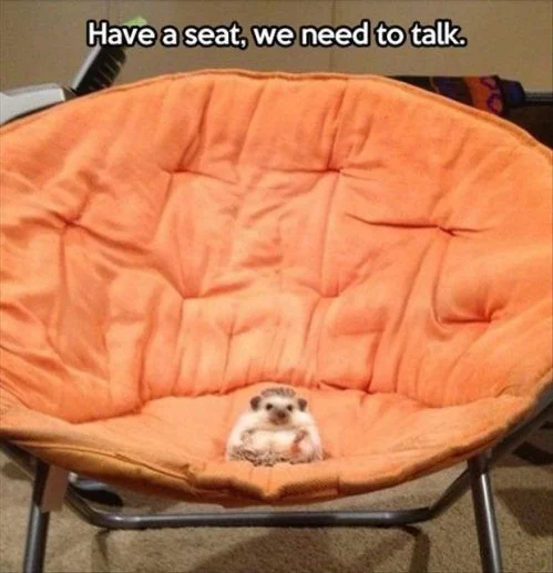 best-photos-week-chive-1.jpg