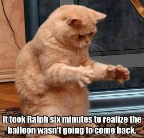 best-photos-week-chive-7.jpg