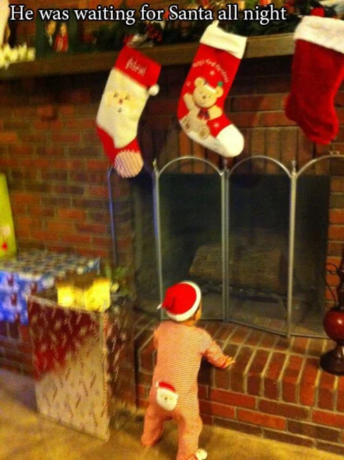 daily-morning-awesomeness-235.jpg