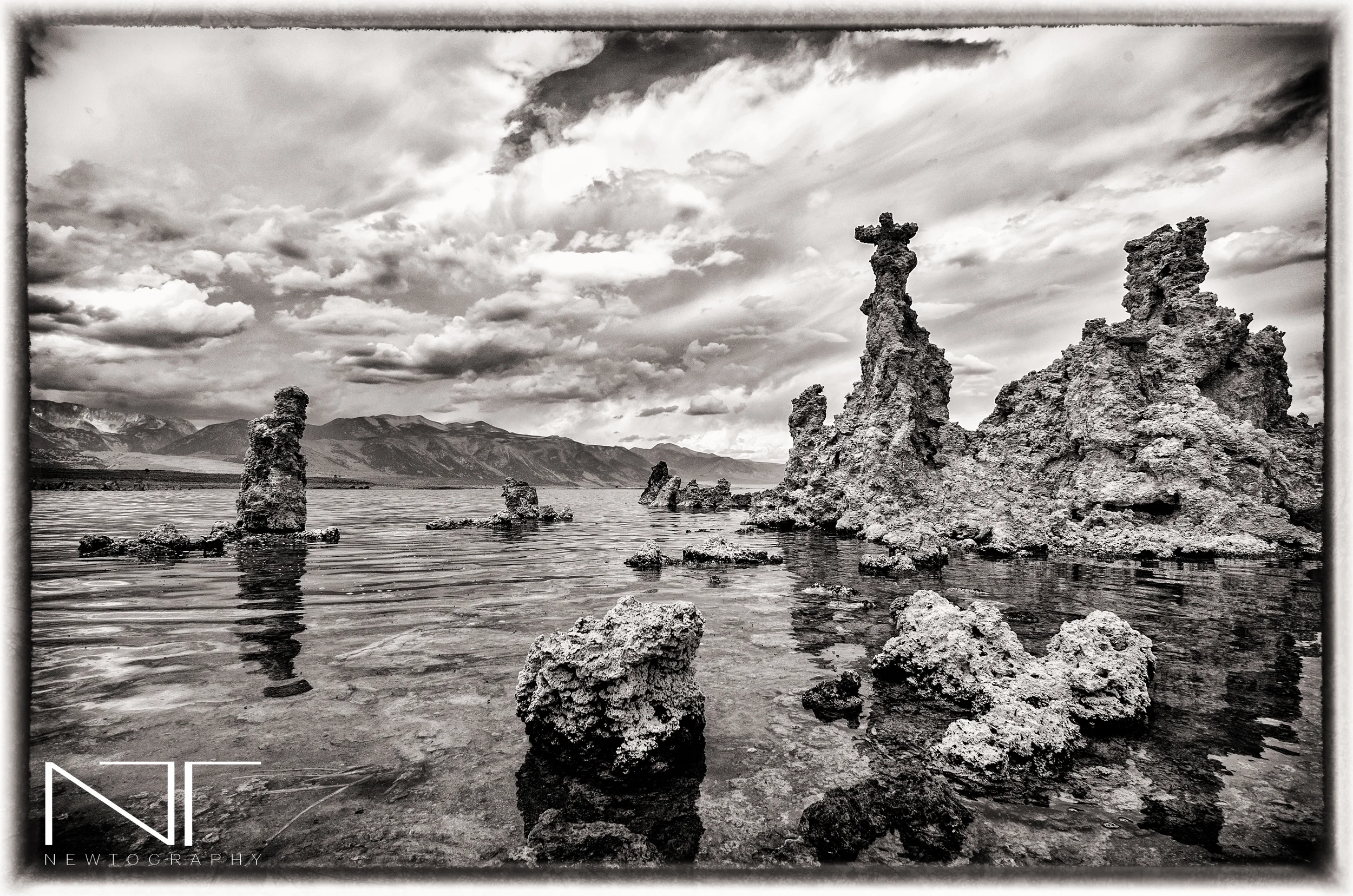 AMN_8910-Edit-Edit.jpg