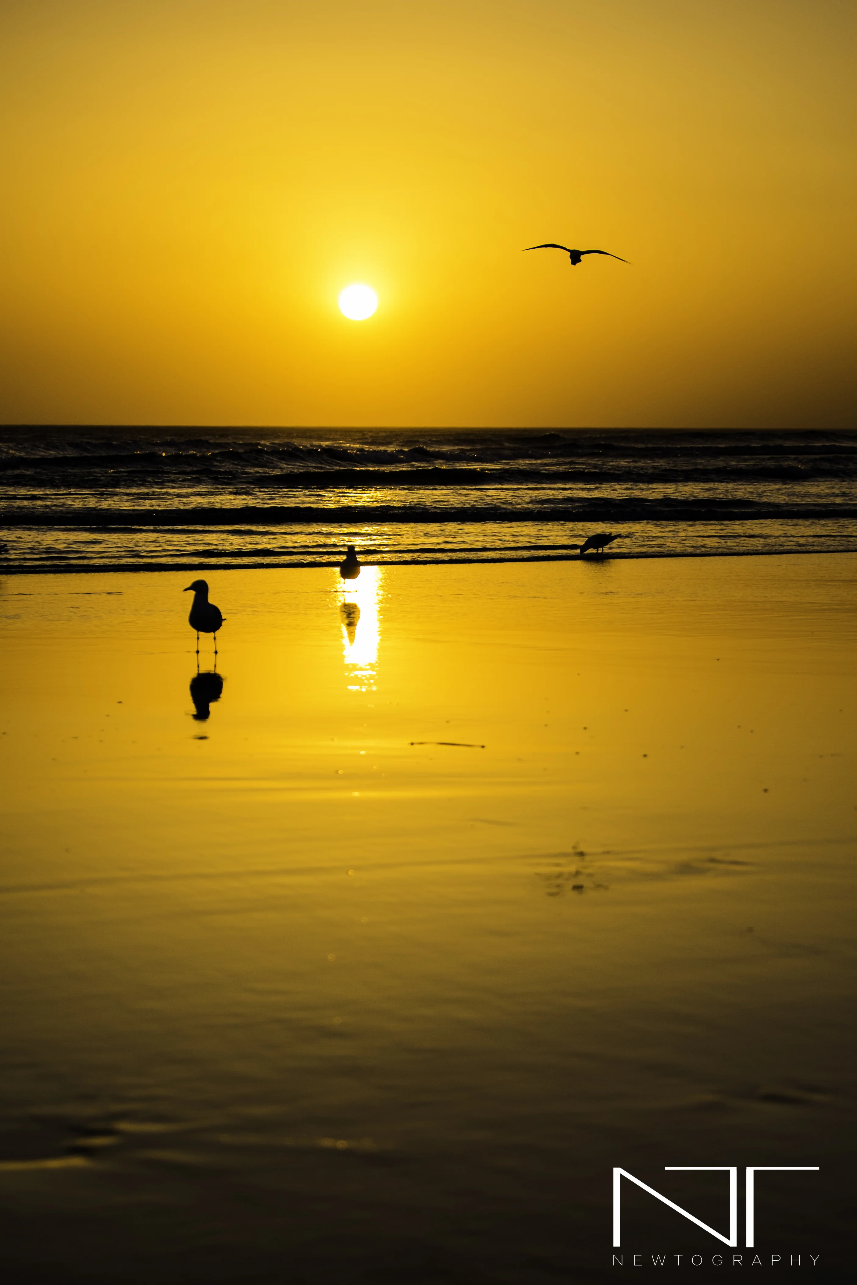 Aussie sunrise
