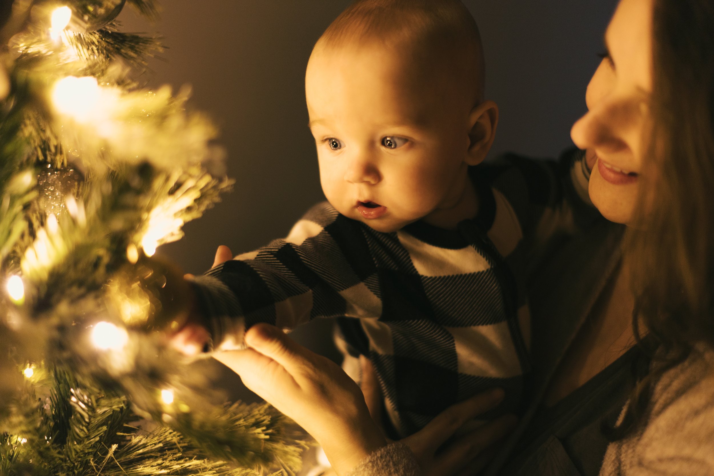 Holidays 2025 - jude tree-19.jpg