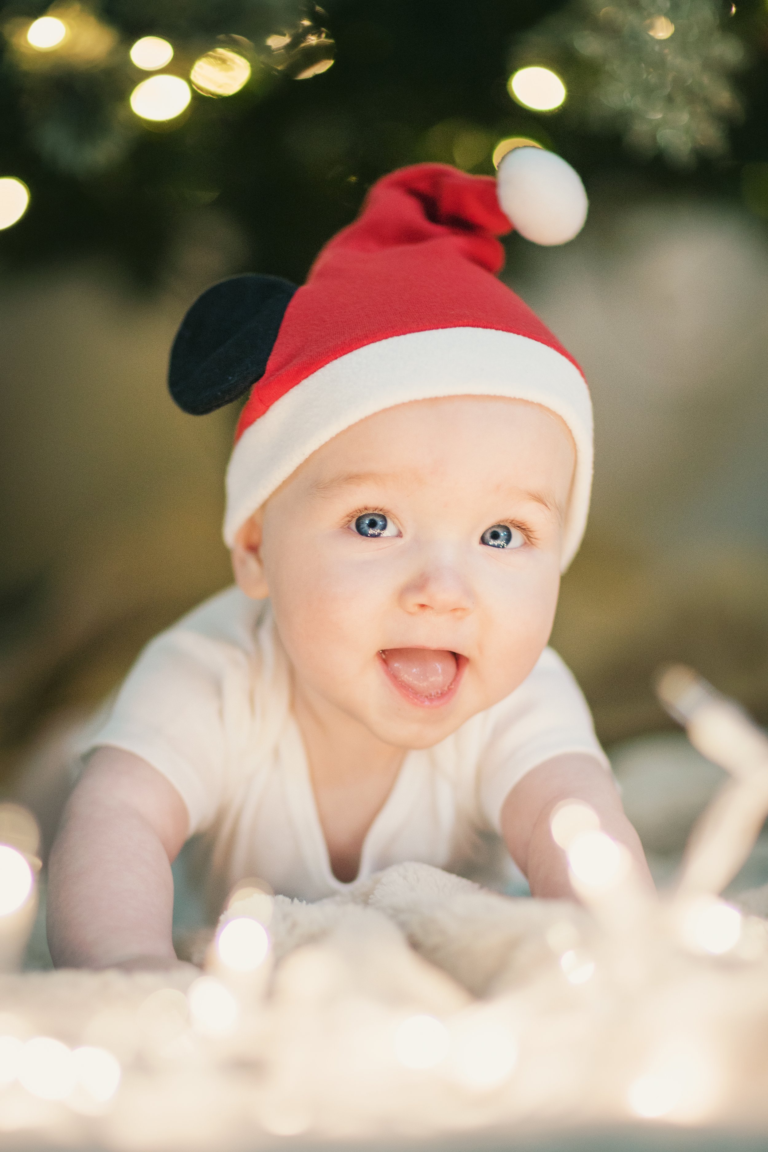 Holidays 2025 - jude tree-3.jpg