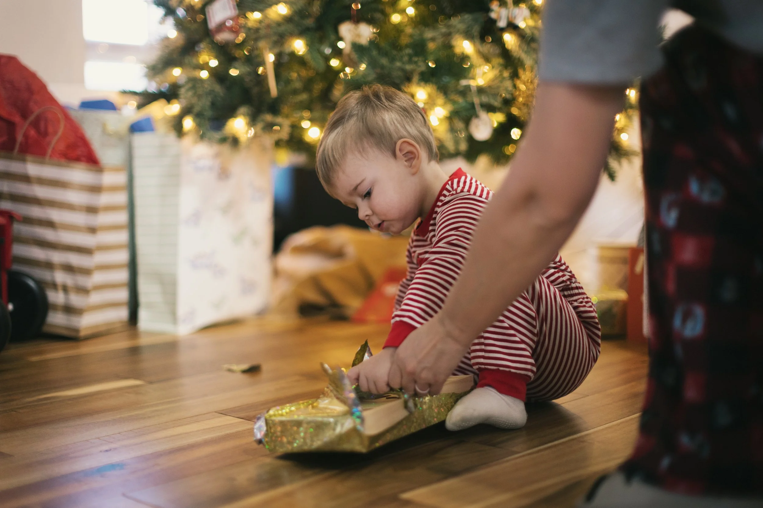 Holidays 2025-56.jpg