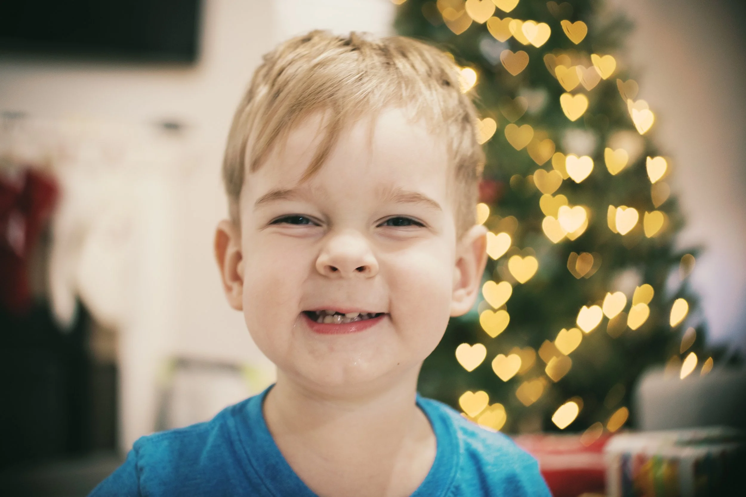 Holidays 2025 - jude tree-12.jpg