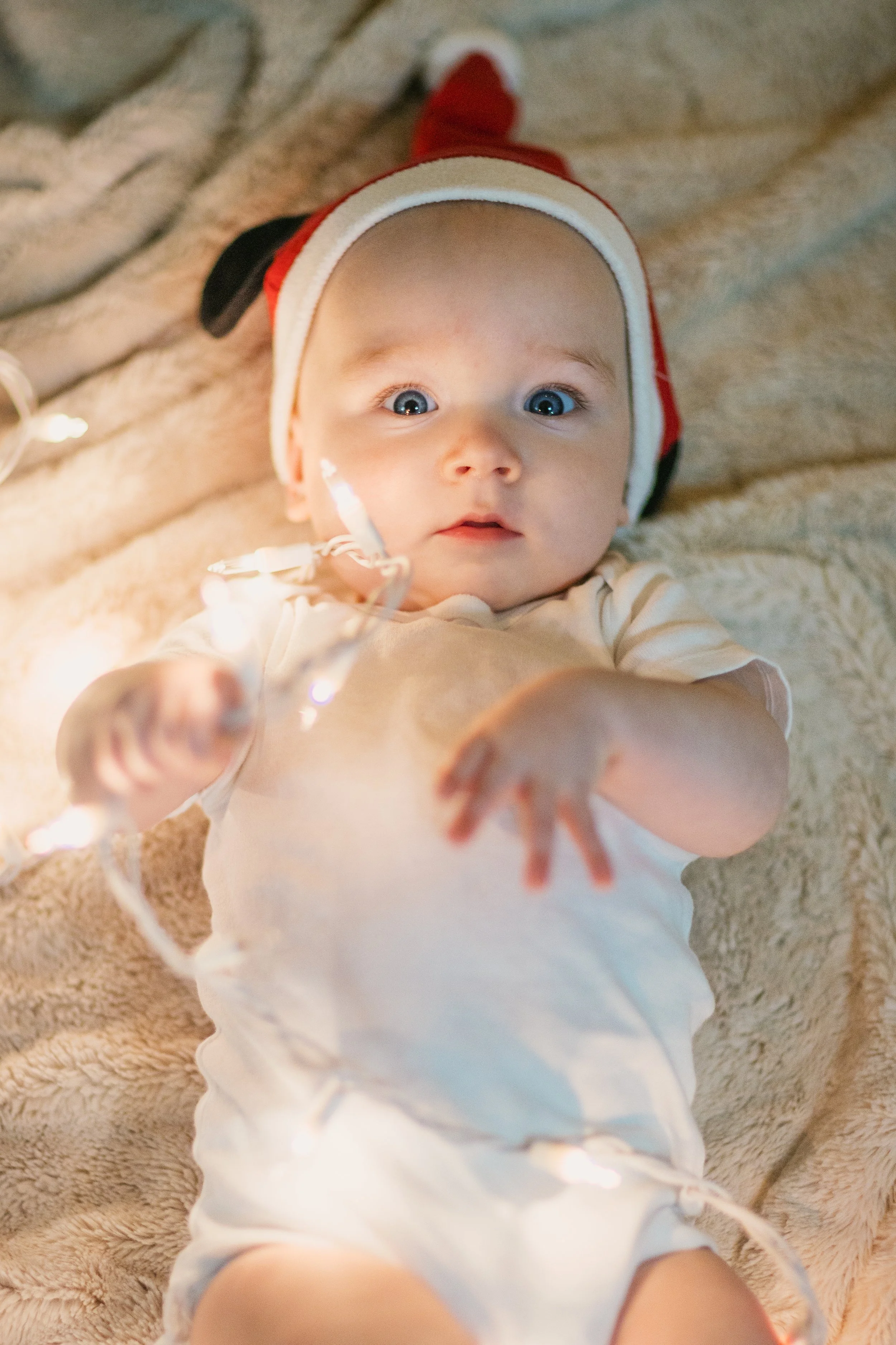 Holidays 2025 - jude tree-1.jpg