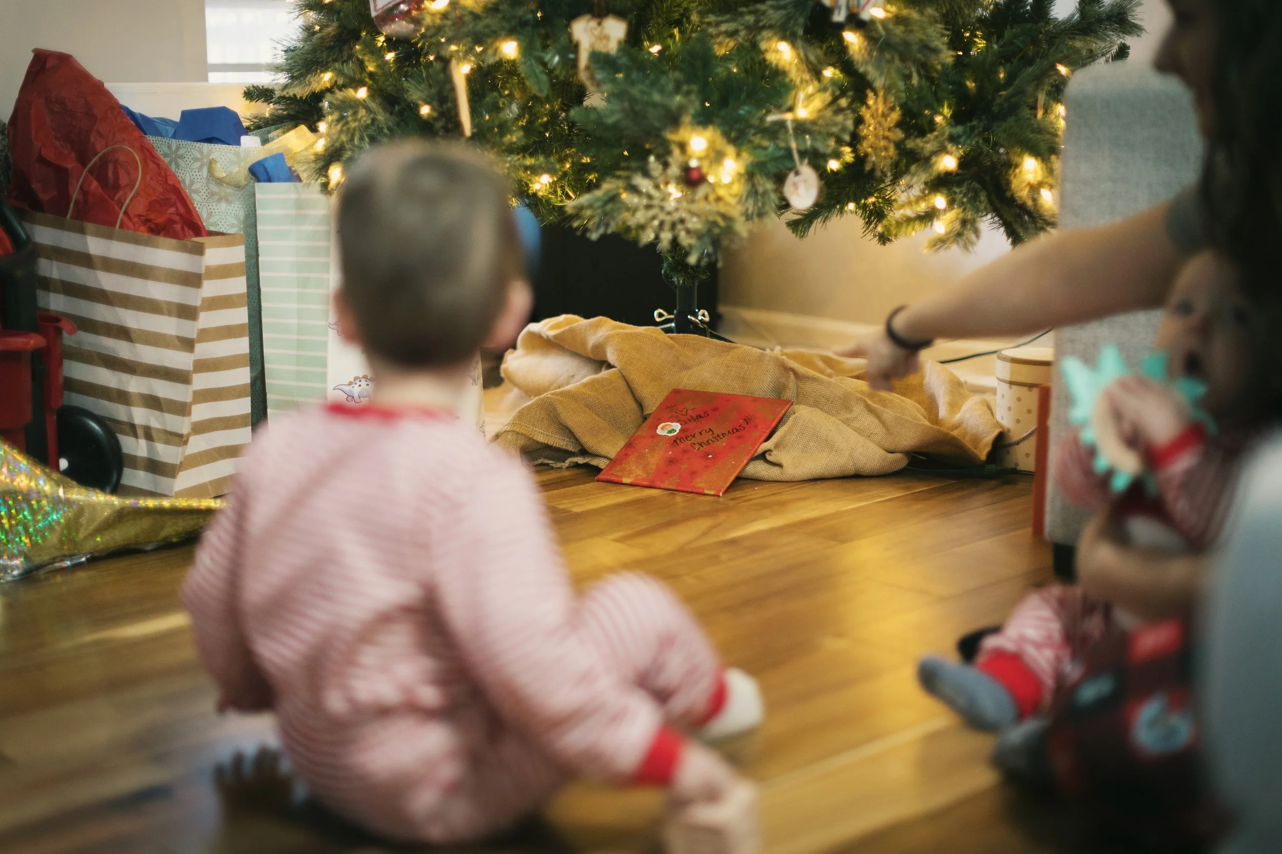 Holidays 2025-59.jpg