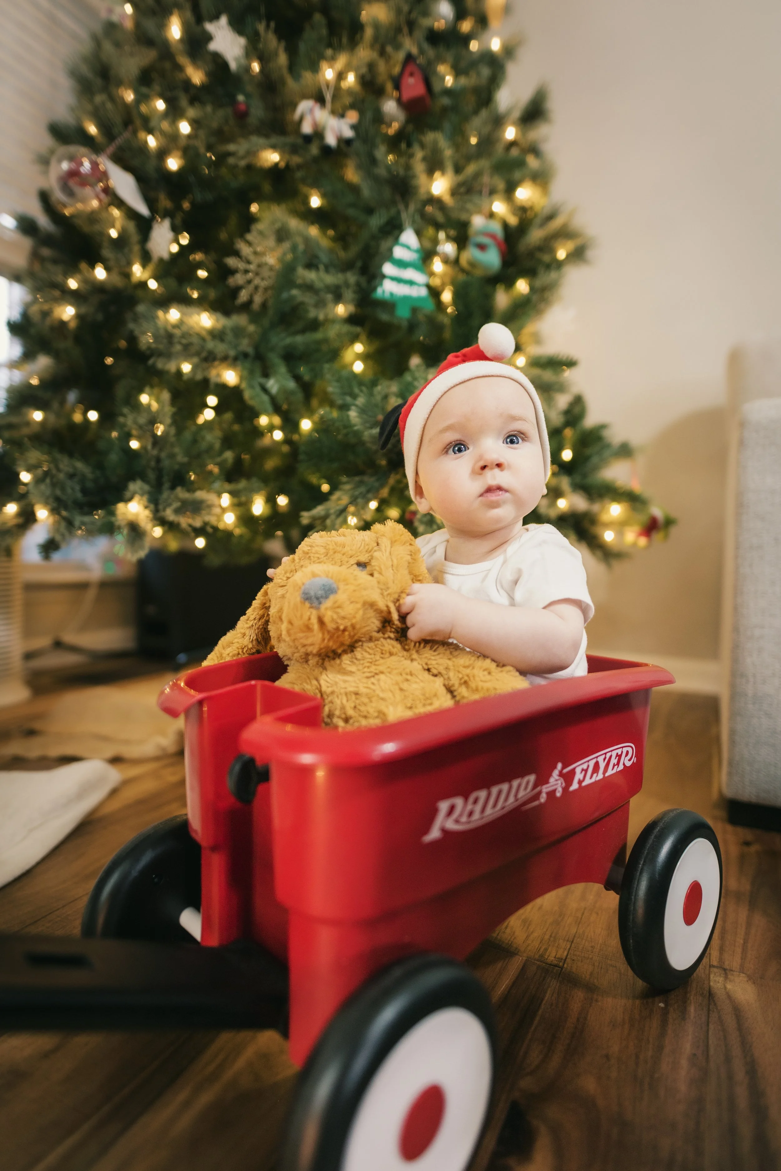 Holidays 2025 - jude tree-6.jpg