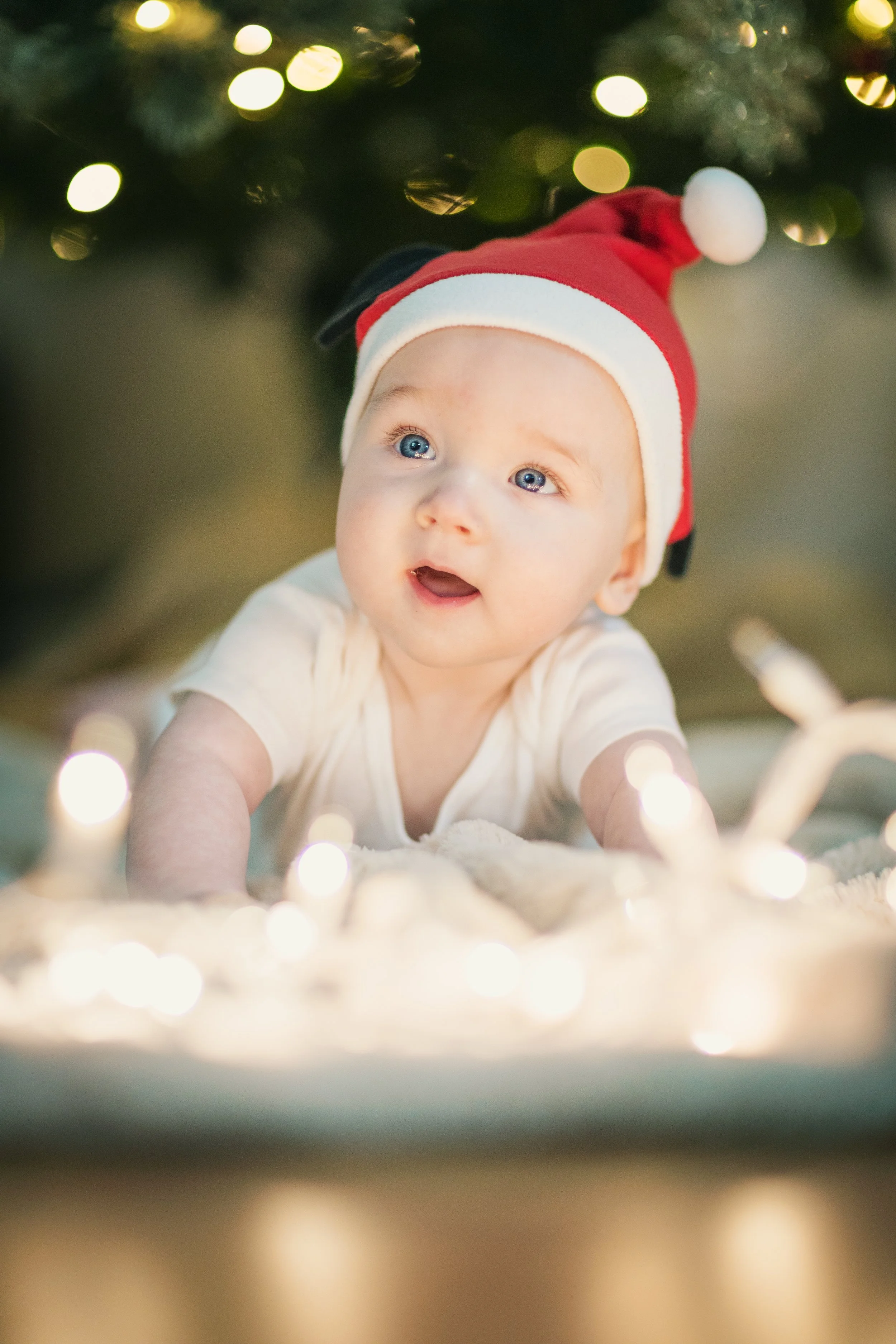 Holidays 2025 - jude tree-4.jpg