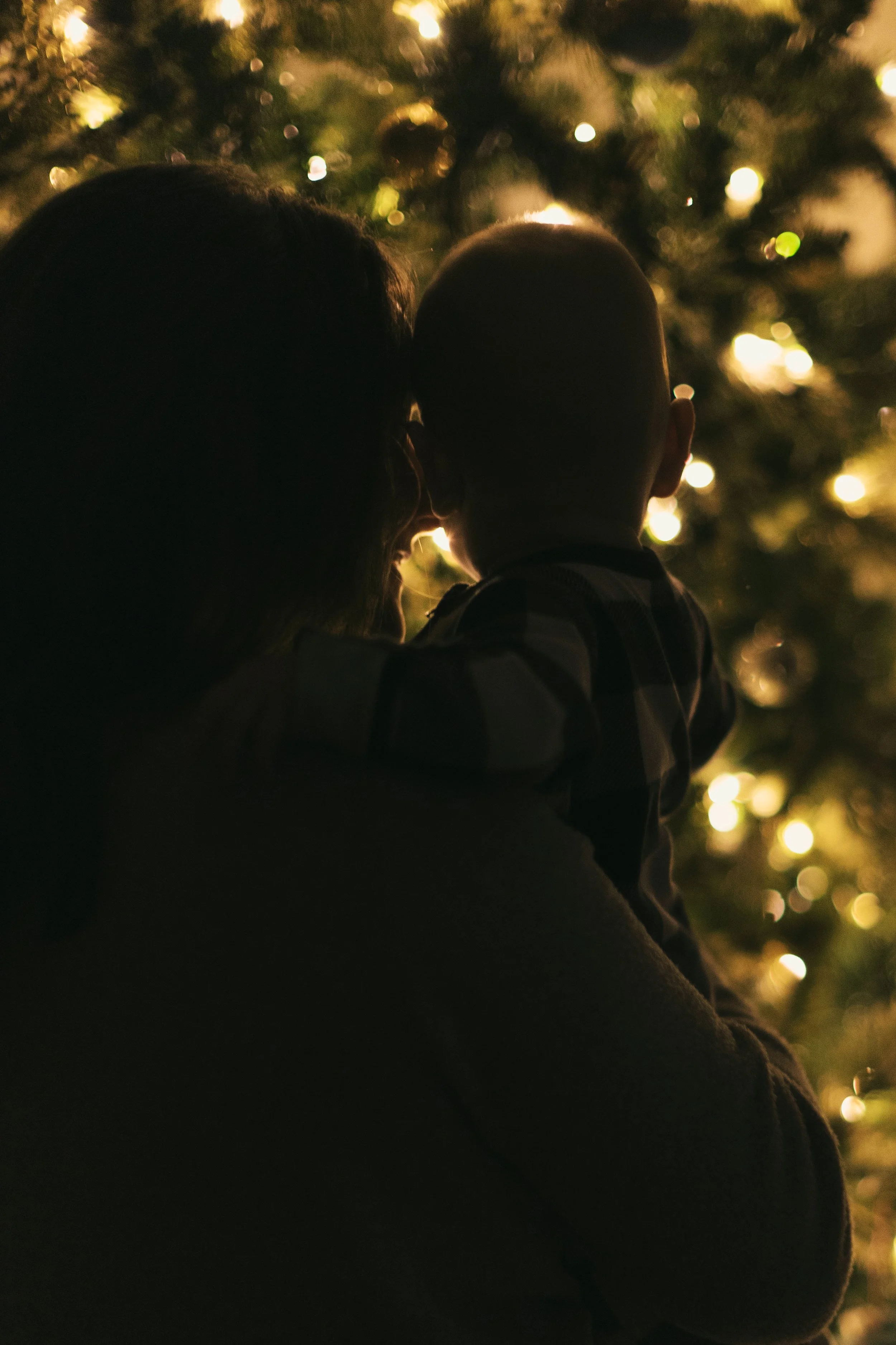 Holidays 2025 - jude tree-14.jpg