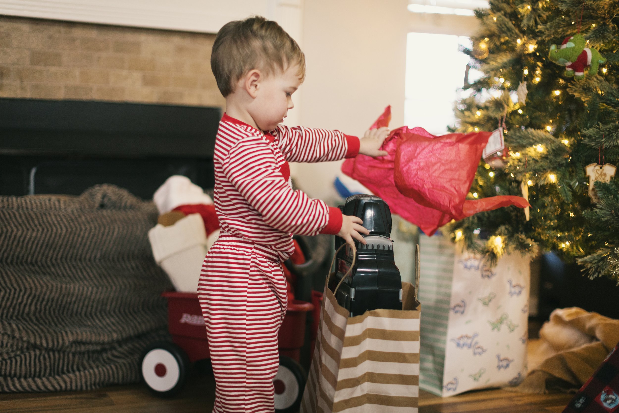 Holidays 2025-64.jpg