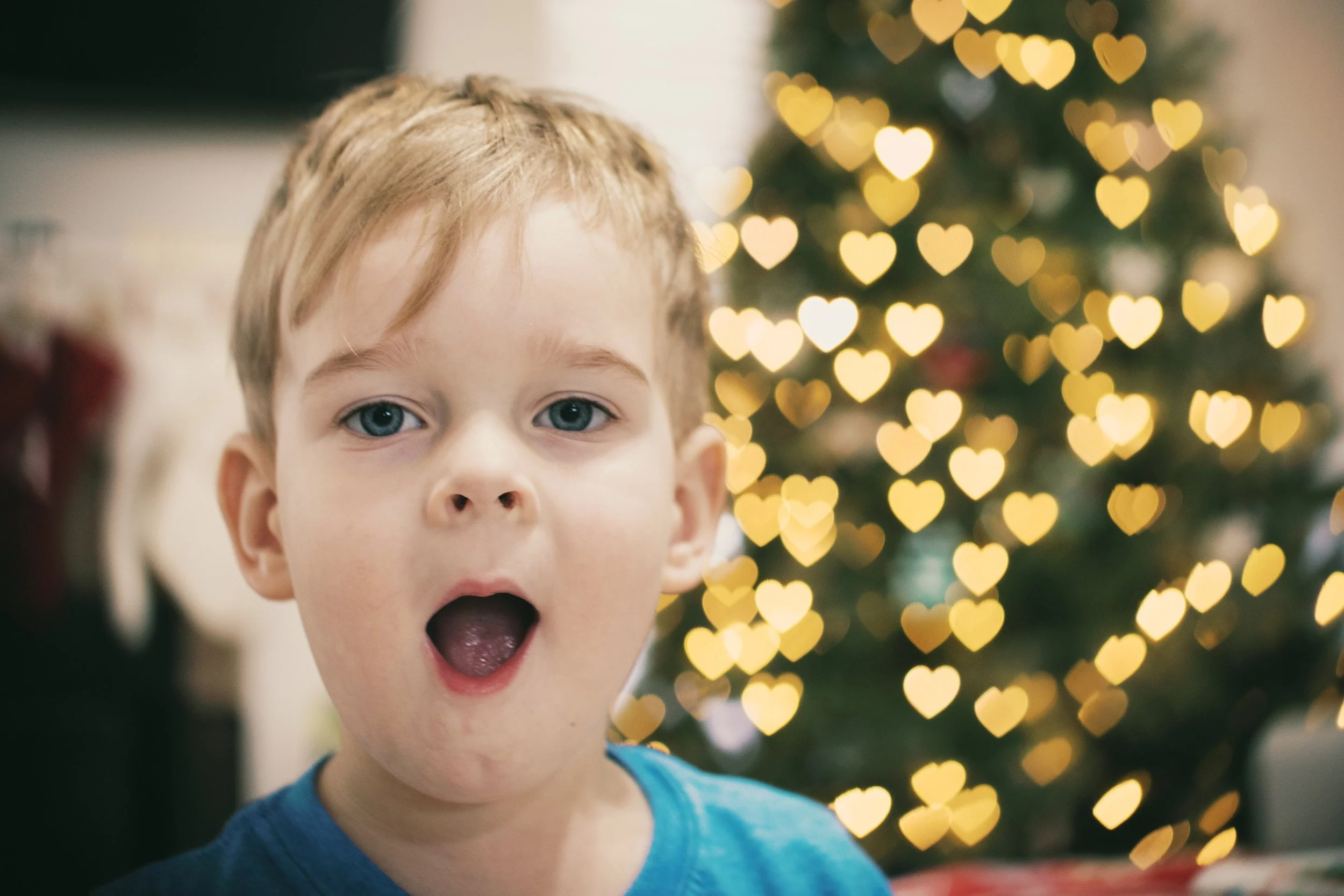 Holidays 2025 - jude tree-11.jpg