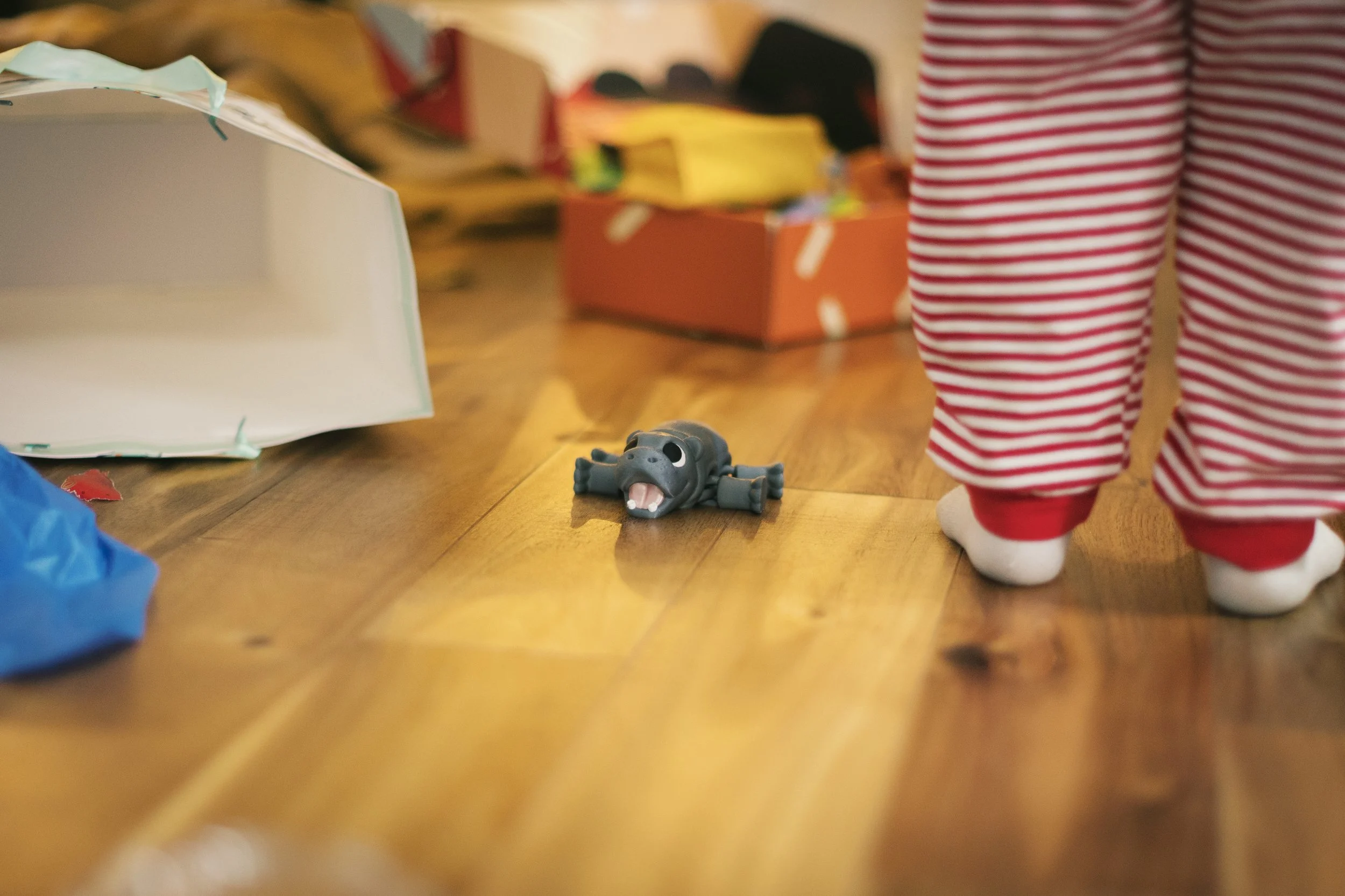 Holidays 2025-74.jpg