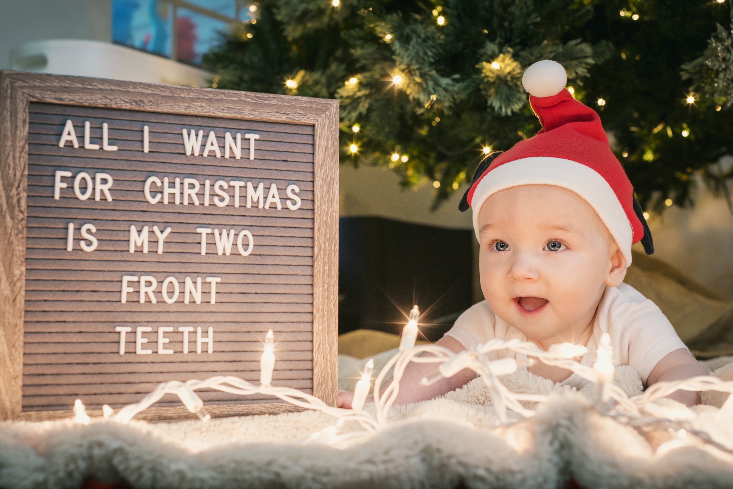 Holidays 2025 - jude tree-5.jpg