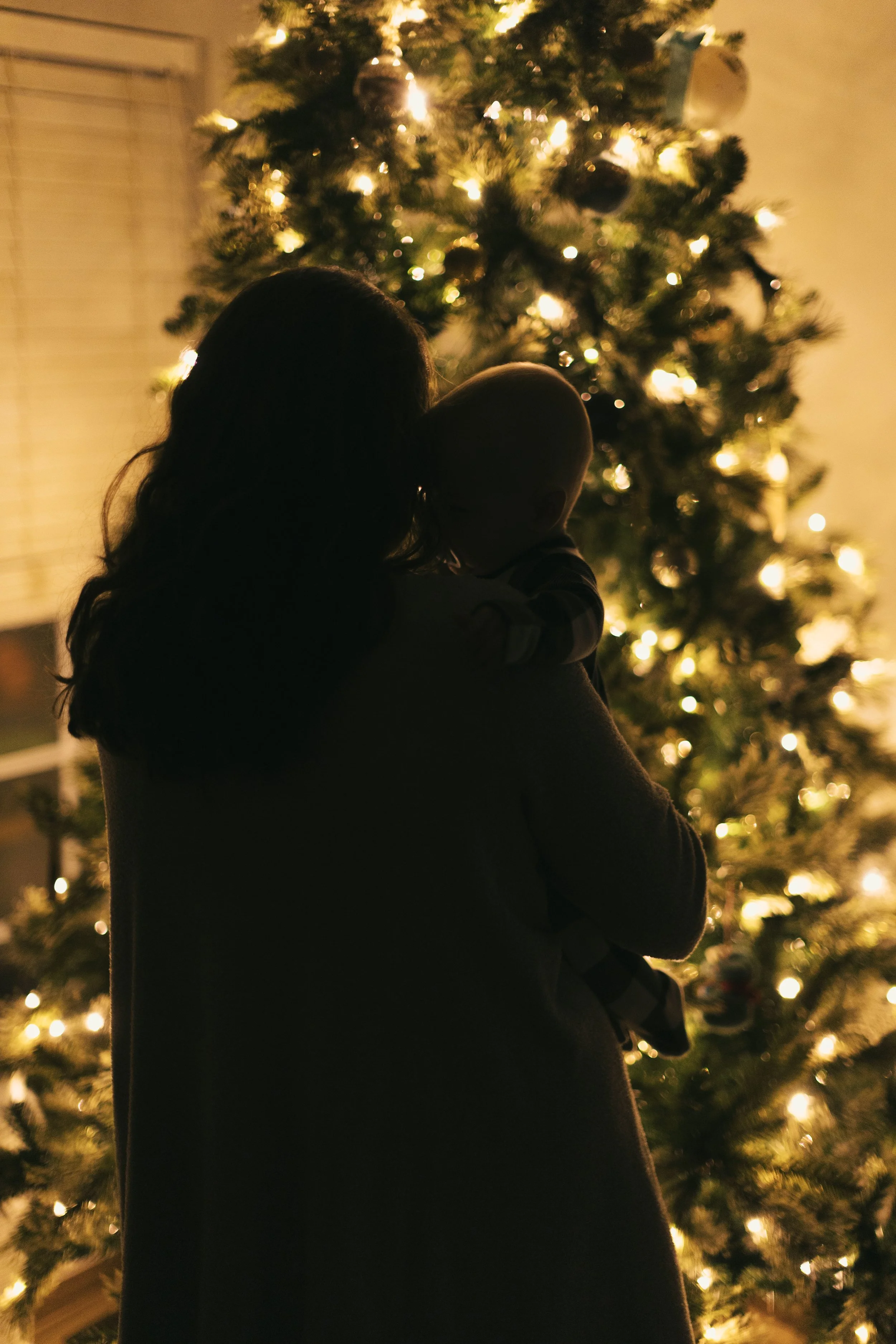 Holidays 2025 - jude tree-13.jpg